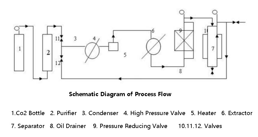 Schematic Diagram of Process Flow