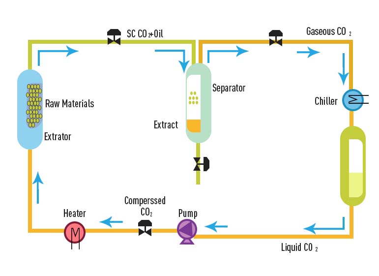 Schematic Diagram of Process Flow2